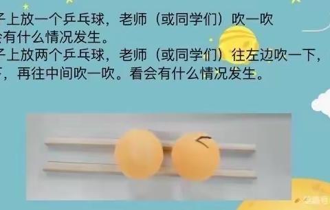 自然树第十五节科学课