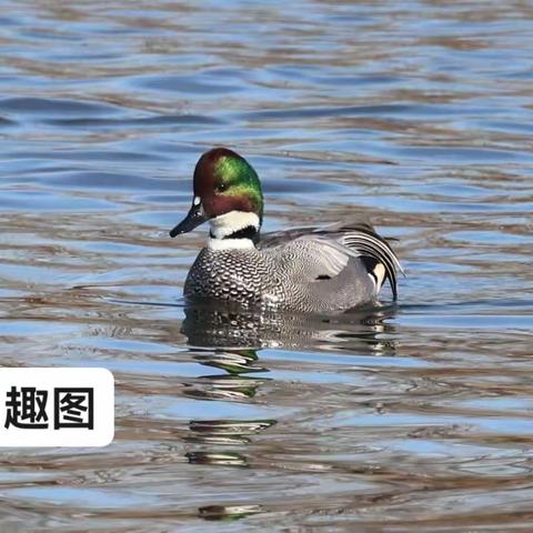 Goodbye2022 Hello 2023