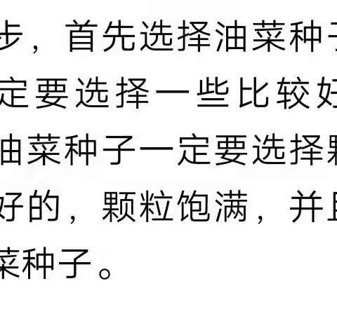 做个勤快的小农夫——五(7)中队黄子瀚