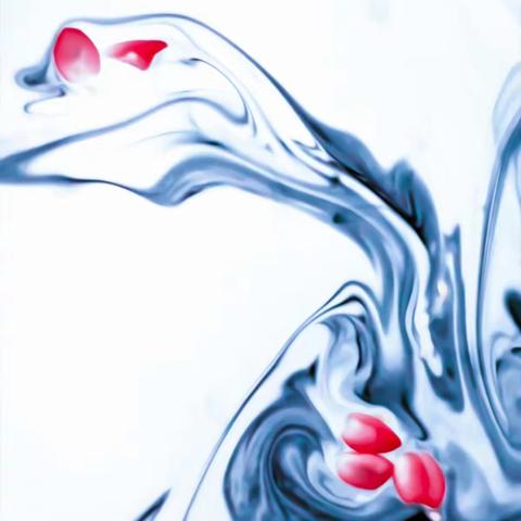 姜永胜摄影：水墨花韵