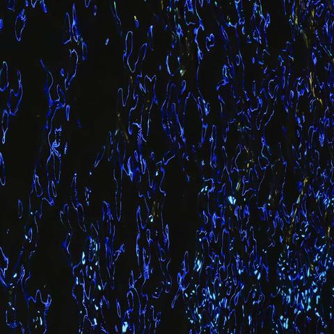 姜永胜摄影：上海黄浦江上的灯影