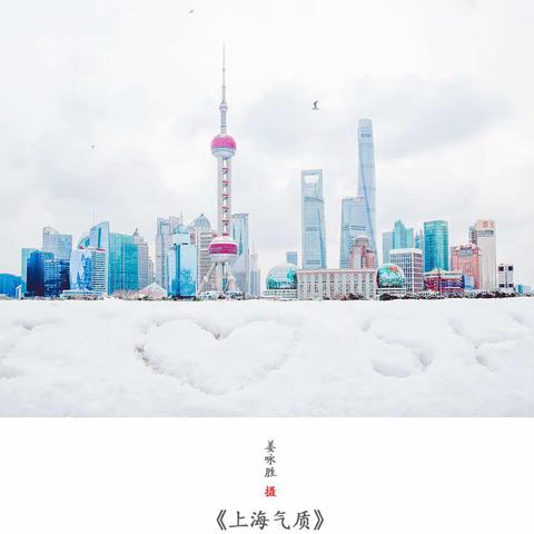 上海雪景姜永胜摄影作品 《上海气质》