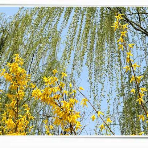 美丽任丘之矿山公园的初春