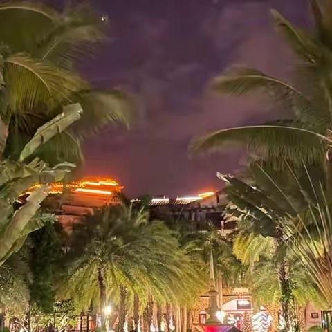 在三亚度假过新年!