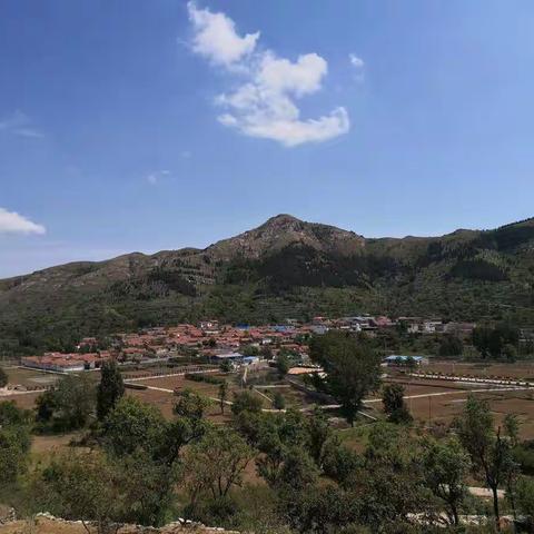 吕家楼村力争打造生态宜居美丽乡村