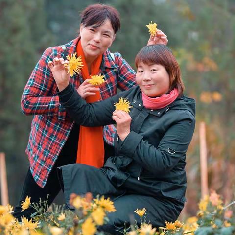 初冬雨中周边闲游