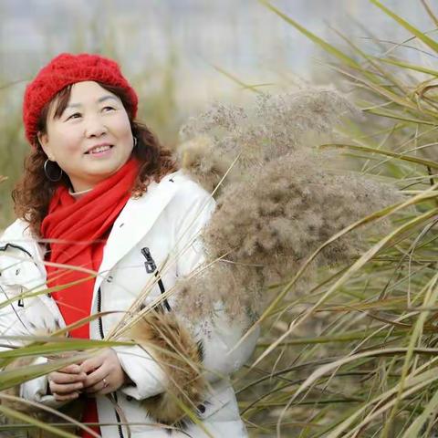 风月花草，一笑尘缘了