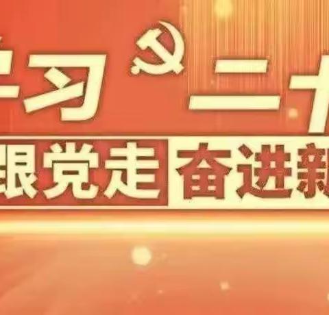 一面了不起的旗帜——记李家庄小学学习“给少先队员讲党的二十大”活动