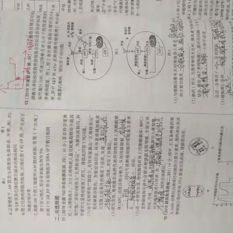 生物