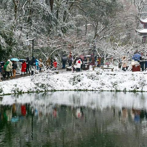 大雪纷飞岳麓山