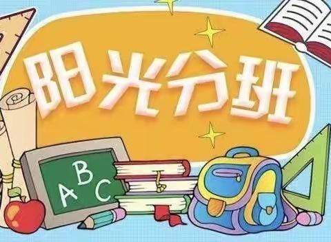 石嘴山市第十三小学一年级新生阳光分班实施流程