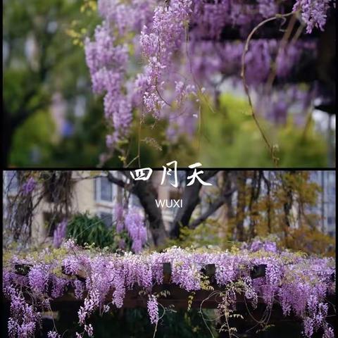 【春有约，花如期】23.4.16来一场春日写生，不负盎然春意