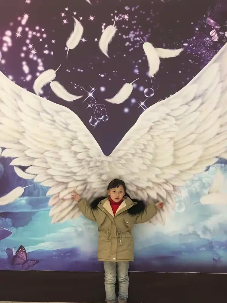 梦的翅膀，飞向未来的奇妙之旅