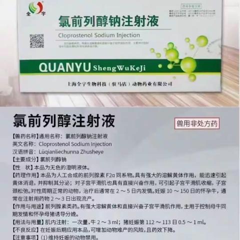 8 月 28 日猪价