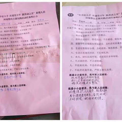 【党建+德育】惠棋侨心小学五年级“小手拉大手 庆建党百年 践劳动之美”暑期人居环境整治主题实践活动