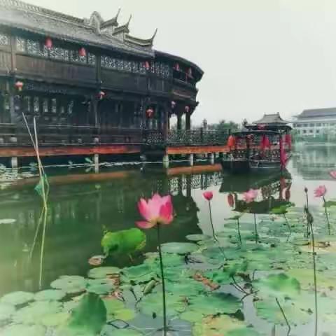 开封启封故园，开封博物馆，鼓楼夜市一日游，158元