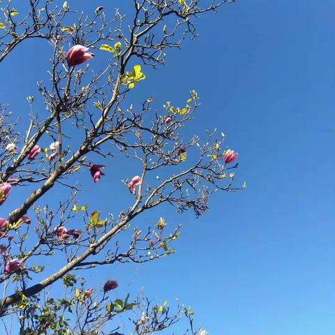 今天，我们开学了——暨罗免民族中学初三年级开学报到