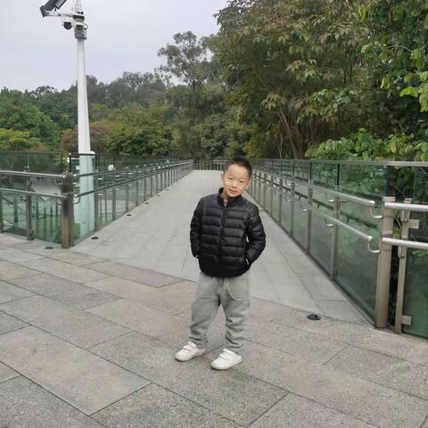 早起迎接崭新的2023年莲花山—深业上城—笔架山