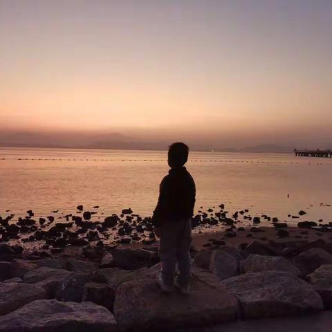 早早醒来去深圳湾看日出2022.12.28