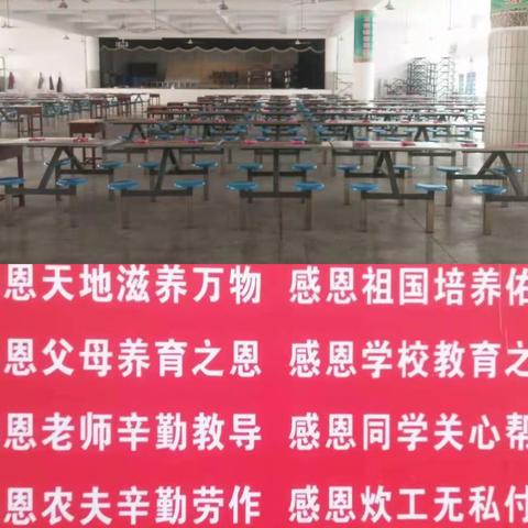 新学期，新“食”刻，文明就餐，感恩有我——城伯镇中心校就餐纪实