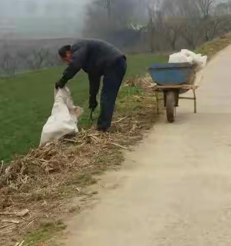 我们村以“垃圾不落地周至更美丽”开展的环境卫生大整治活动