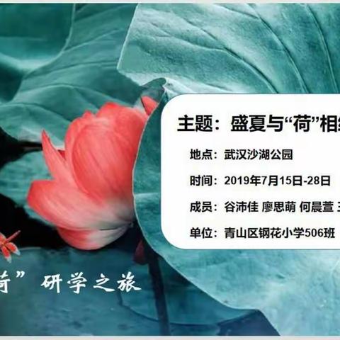 盛夏与“荷”相约一一“荷”研学之旅