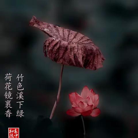 袁中和（的美篇