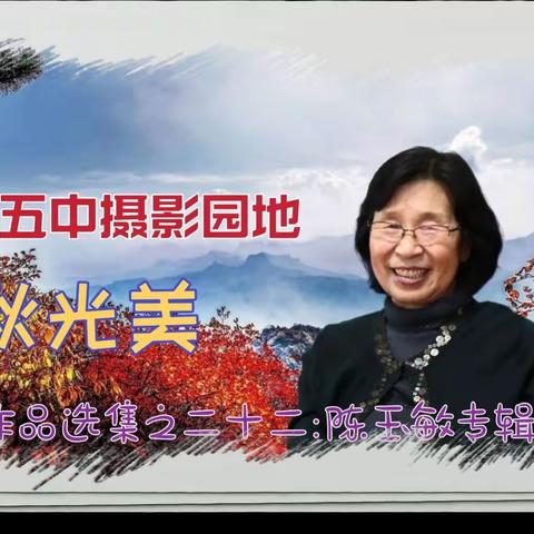 天津五中摄影园地，秋光美，影友作品选辑之廿二:陈玉敏专辑