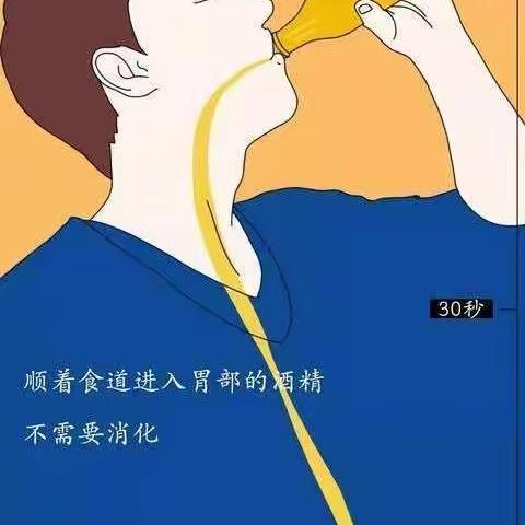 酒精进入人体内的24小时历程