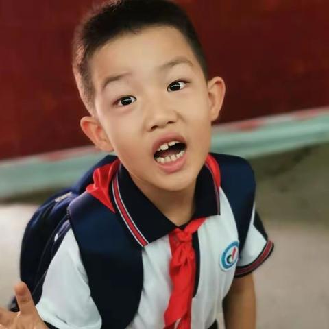 东方红小学399中队钟振励同学暑假 “ 6+N ”作业