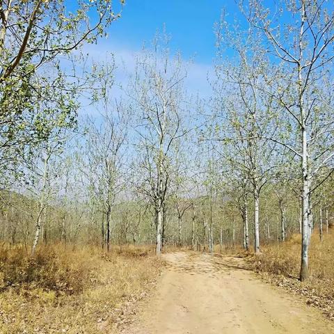 护林防火 快乐工作