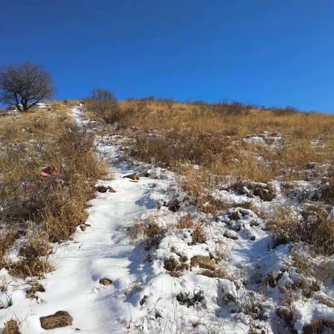 雪后初晴 独自行走
