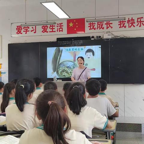 散文读写结合初探———刘敬老师《表里的生物》校内研讨课