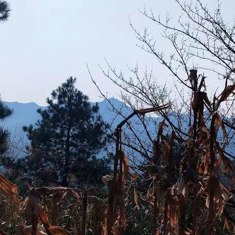 我在“大雪”里暖意融融