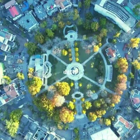 七律.游天津中心公园