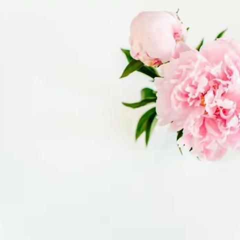 5月14日是(西方的)母亲节