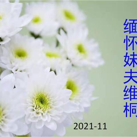 缅怀妹夫维桐一一2021-11