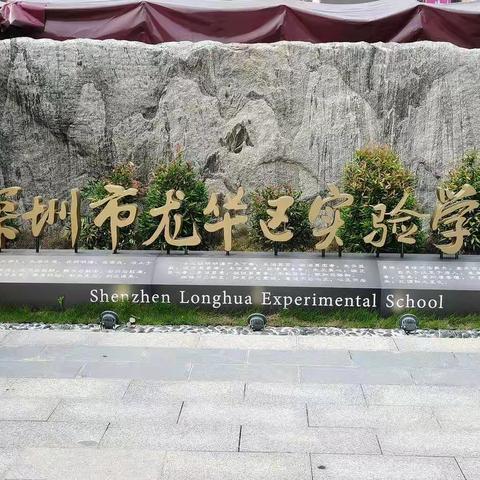 寻找家乡的故事---我的学校（王思淼）