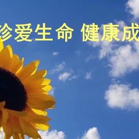 【全环境立德树人】秀最美卓越口才，展健雅学子风采 ——东平县第二实验小学“健雅小讲坛”展示掠影（第九期）