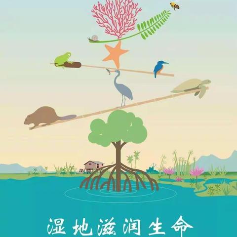 保护地球，从我做起