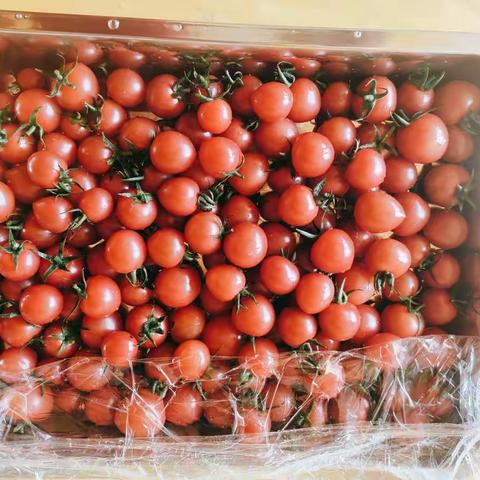 岚山区实验幼儿园一周好“食”光—第十四周食谱