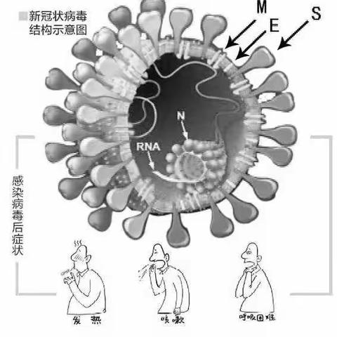 特殊的寒假