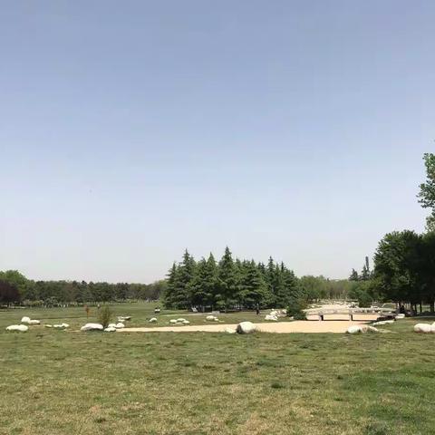 【曲江大明宫遗址区】遗址区周边绿地绿化景观提升工作现场踏勘