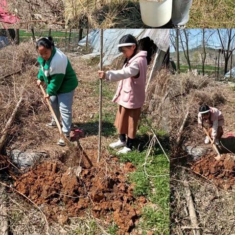 山黄小学--“我与小树同成长”植树节实践活动