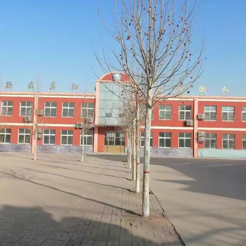 网课认真上，复习也精彩——【鲁新寨小学】线上纪实篇
