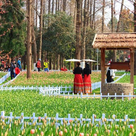 南京中山植物园