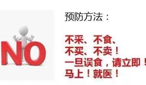 珍爱生命  远离毒蘑菇———茶亭镇中心幼儿园预防野生蘑菇中毒知识宣传