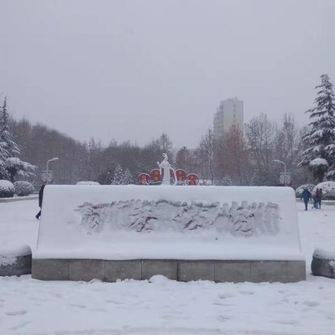 2018第一场雪昨天却没有如约而来，今早上一看白雪姑娘昨晚俏俏地来了，拿起手机留下这美好记忆，2018.1.4。