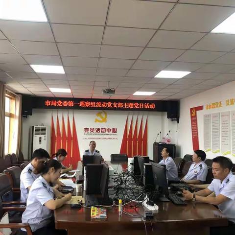 第一巡察组临时党支部组织开展主题党日活动