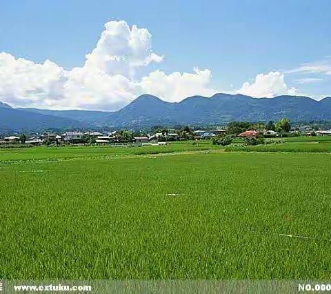 耕读学子    田园体验    童趣中队一一扬芳涵